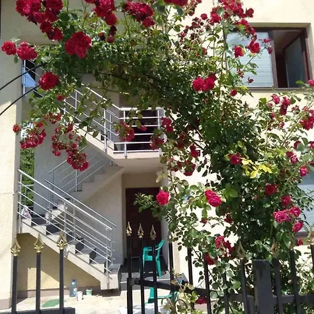 فيلة Iman سراييفو