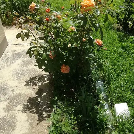Holiday Home Iman Villa Sarajevo
