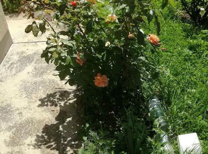 Iman וילה סראייבו